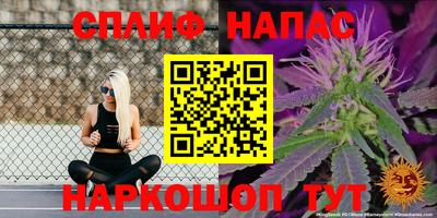 сатива Мариинск