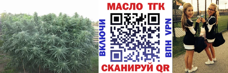 Дистиллят ТГК THC oil  как найти закладки  Джанкой 